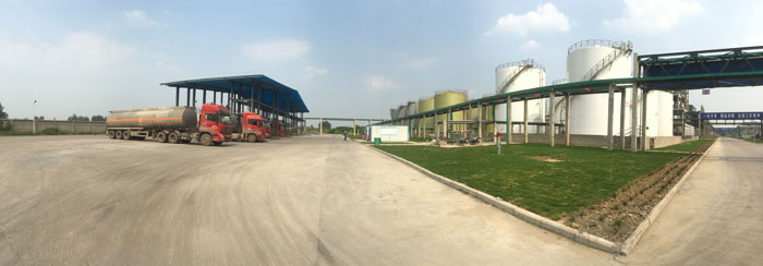 罐区全景.jpg